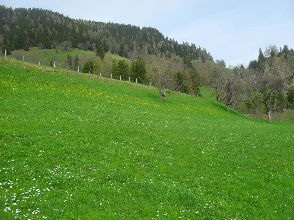 Bio-Bergbauernhof Moeslhof Apartment ไอเกน อิม เอนน์สทาล ห้อง รูปภาพ