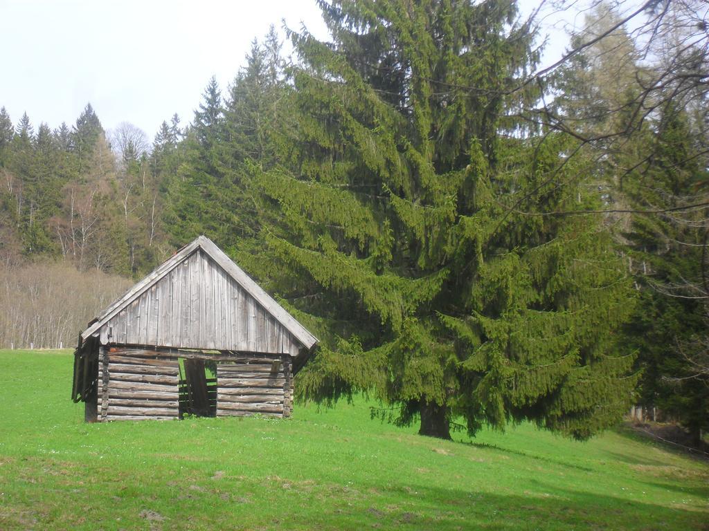 Bio-Bergbauernhof Moeslhof Apartment ไอเกน อิม เอนน์สทาล ห้อง รูปภาพ