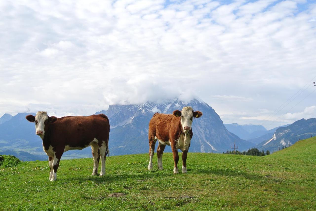 Bio-Bergbauernhof Moeslhof Apartment ไอเกน อิม เอนน์สทาล ภายนอก รูปภาพ